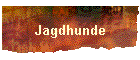 Jagdhunde